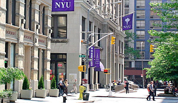 纽约大学New York University